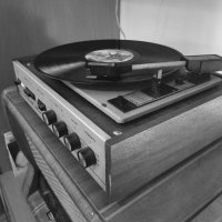 Черно-белая фотография. :: Любимова Ольга 