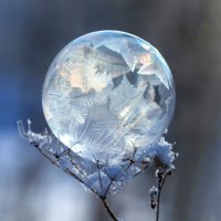 Пузырь :: Андрей Пристяжнюк