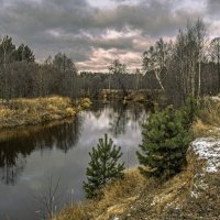 Предзимье. :: Александр Иванович Шитов