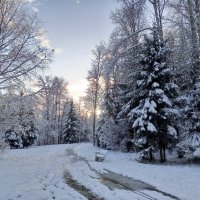 Зима :: Сапсан 