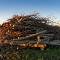 Не вписались... :: Николай Гирш