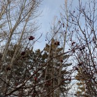 Город... :: Андрей Хлопонин Город... :: Андрей Хлопонин