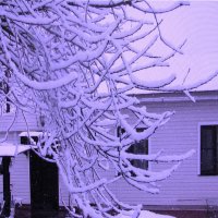 После снегопада :: Людмила Смородинская