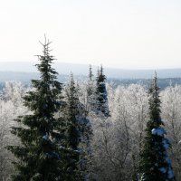 Хрустальный день :: Галина Ильясова