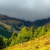 Полутуманный - полусолнечный день :: Георгий А Полутуманный - полусолнечный день :: Георгий А