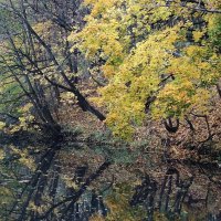 Ноябрьский пейзаж :: Рита Симонова