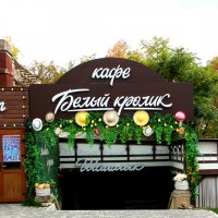 Шашлык в Белом кролике :: Vlad Сергиевич