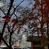 Утро... город... туман... :: Николай Саржанов