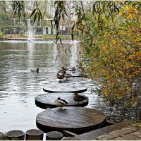 ****** :: Валерия Комова