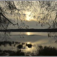 ...природа в ожидании.... :: Aleksandr Gal ...природа в ожидании.... :: Aleksandr Gal