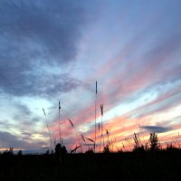 Одиночество и природа :: Юрий Налобин