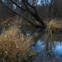 У Тихой Воды :: юрий поляков У Тихой Воды :: юрий поляков