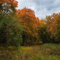Красивая осень :: Александр Синдерёв Красивая осень :: Александр Синдерёв
