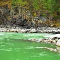 Катунь :: Мишель71 