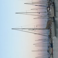 Кораблики :: Ольга Савельева 