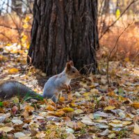 .. :: Андрей Щукин