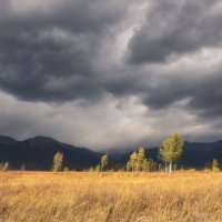 Перед грозой :: Марина Фомина.