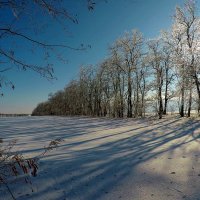 Зима. :: Александр 