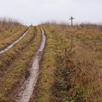 Что там впереди? :: Сергей Ц