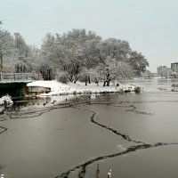 Ноябрьский сюжет :: Мария Васильева