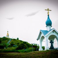 Холки :: Александр Леонов