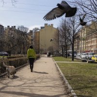 *** :: Александр Русинов