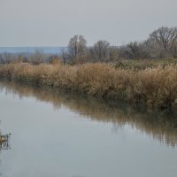 Осенний сон.... :: Надежда Куркина 