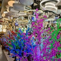 В мире света :: Татьяна Пальчикова