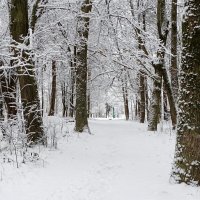 Городской парк во власти снега. :: Милешкин Владимир Алексеевич 