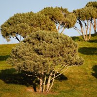 Этюд :: Юрий Полторыхин.