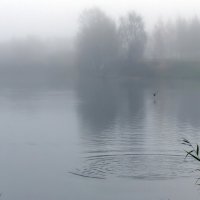 *** :: Владимир Безбородов