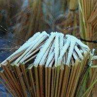 Иней и небольшой лёд :: Aida10 