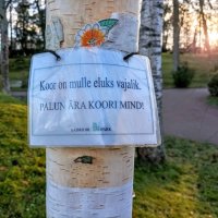 Ствол березы бумажной :: Veera V