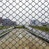 Жизнь в клеточку :: Валерий Иванович