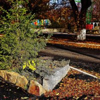 Ёлочка :: Юрий Гайворонскiий Ёлочка :: Юрий Гайворонскiий