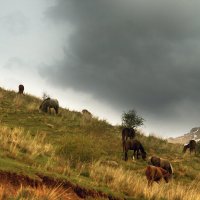 Жизнь в горах :: Галина Ильясова