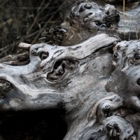 МУКИ АДА :: Юрий Вовк