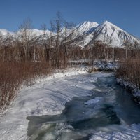 ... :: Жора Житников