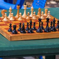 Шахматы :: Игорь Сикорский Шахматы :: Игорь Сикорский