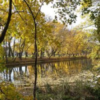 Живописный наряд осенних листьев :: Рита Симонова