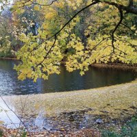 Листопад :: Рита Симонова