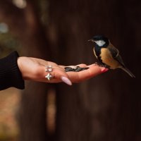 ***** :: Николай Шерстнев ***** :: Николай Шерстнев