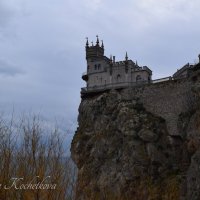 Природа Крыма :: Amazing Cosmea