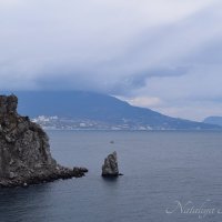 Природа Крыма :: Amazing Cosmea