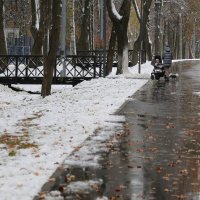 Первый снег :: ZNatasha -