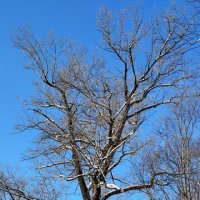 Прекрасный день!!! :: Радмир Арсеньев