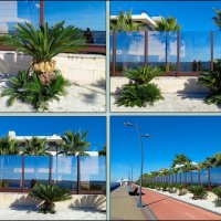 Адлер. Имеретинская (Олимпийская) набережная :: Нина Бутко Адлер. Имеретинская (Олимпийская) набережная :: Нина Бутко