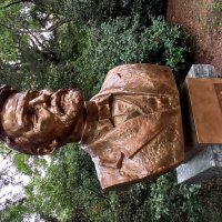 В Гурзуфском парке. Крым. :: Галина В Гурзуфском парке. Крым. :: Галина