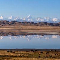 Тянь-Шань :: Андрей Щукин