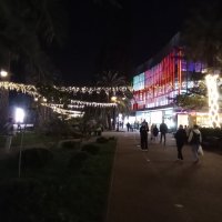 Ночной Сочи :: Виктор 